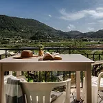 酒店 Elia Zakynthos *