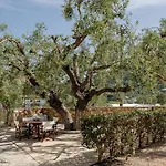 Elia Zakynthos 酒店