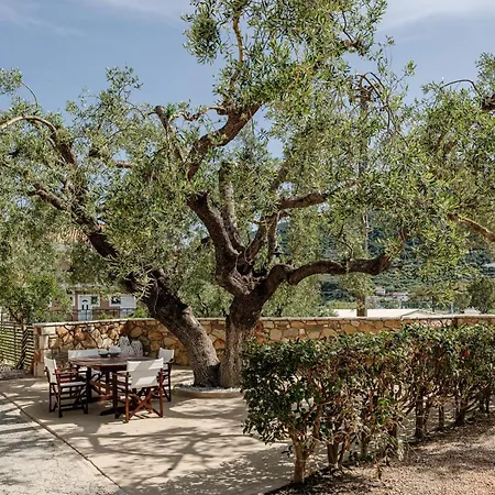 Elia Zakynthos 酒店